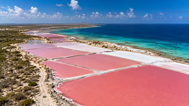 האיים הקריביים ההולנדיים